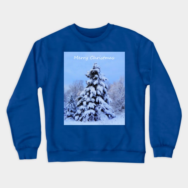 WINTER Wonderland In Nova Scotia Crewneck Sweatshirt by SartorisArt1